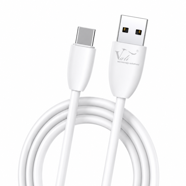 Vali VC-100 Type-C Fast Cable